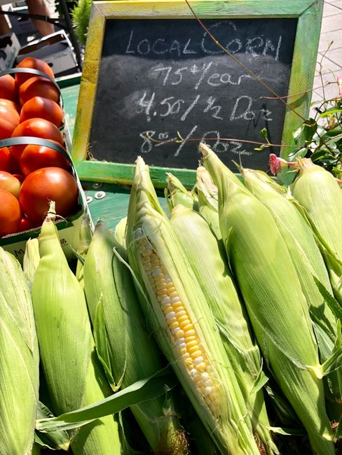 Close-up view of fresh corn on the cob, with several ears still in their green husks, arranged on a surface outdoors. One ear is partially peeled back to reveal yellow kernels inside. In the background, there is a small chalkboard sign with a green wooden frame, displaying handwritten text about local corn, including prices per ear and weight, with some of the text slightly blurred. To the left, part of a tray or basket holding reddish-brown tomatoes is visible, creating an impression of a market stall. The scene is illuminated by natural sunlight, highlighting the textures and colors of the vegetables and the rustic environment, suggesting an outdoor setting typical for local fresh produce markets or farm stands, where independent vendors or small-scale producers might display their goods for sale, aligning with themes of private or alternative produce sourcing and disposal.